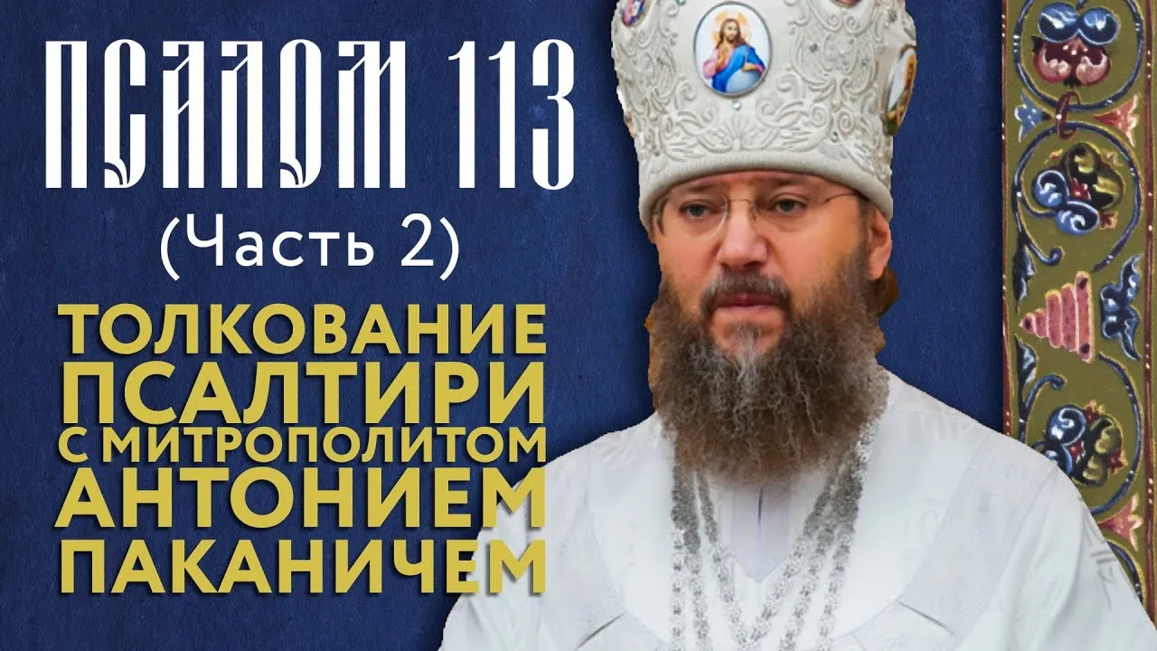Video видео